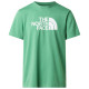 The North Face Ανδρική κοντομάνικη μπλούζα Evolution Half Dome Dimmed Algae T-Shirt